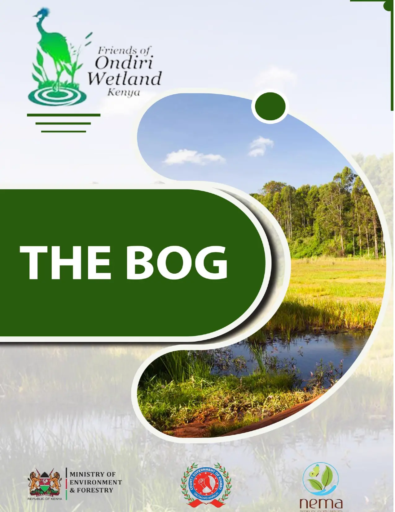 THE BOG FN